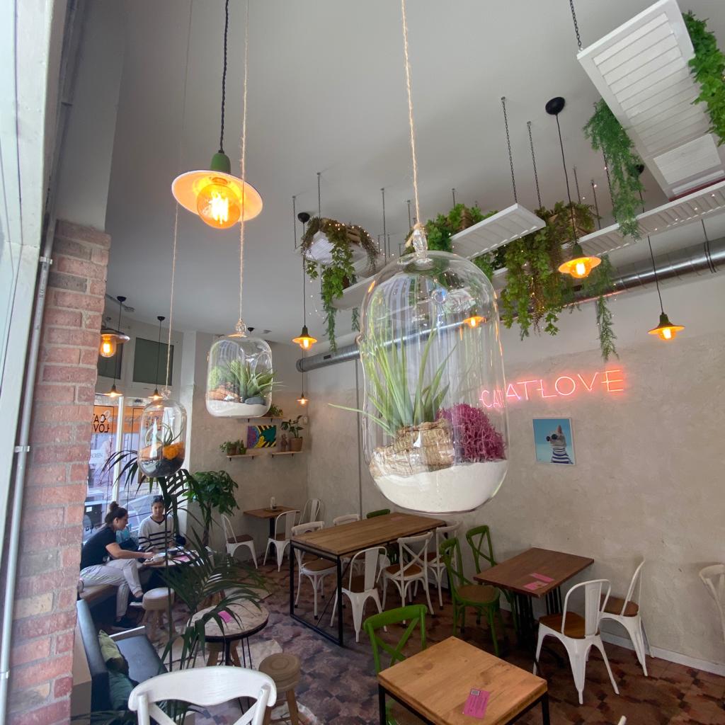 CATLOVE COFFEE en asturias ebaristo café