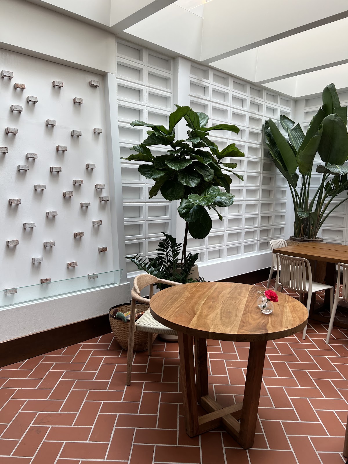 CHANITO • SPECIALTY COFFEE en canarias ebaristo café