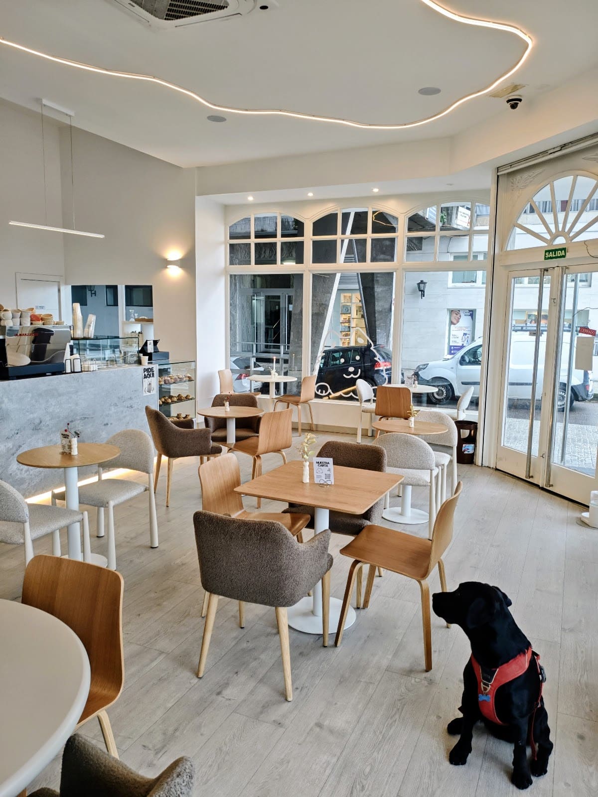 SAMMY PET CAFE en galicia ebaristo café