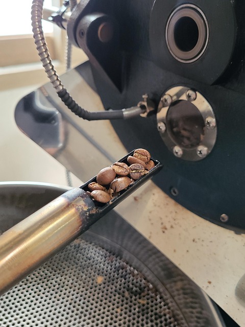 COSTA BLANCA COFFEE ACADEMY