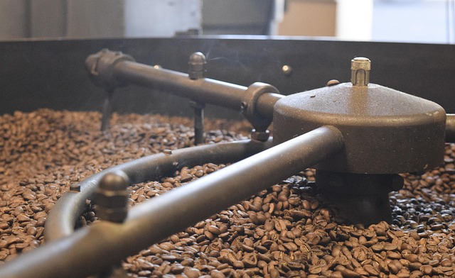 LA ESCUELA DE BARISTAS